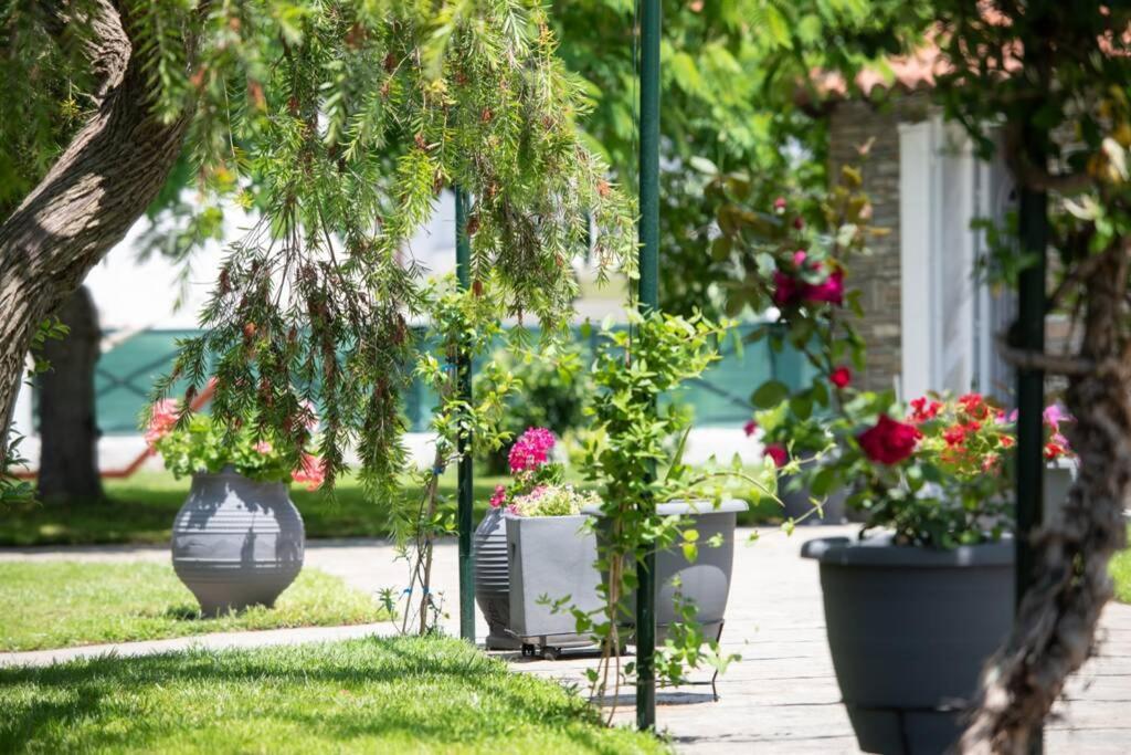Nuestro Jardin Villa Sykia Chalkidikis Buitenkant foto