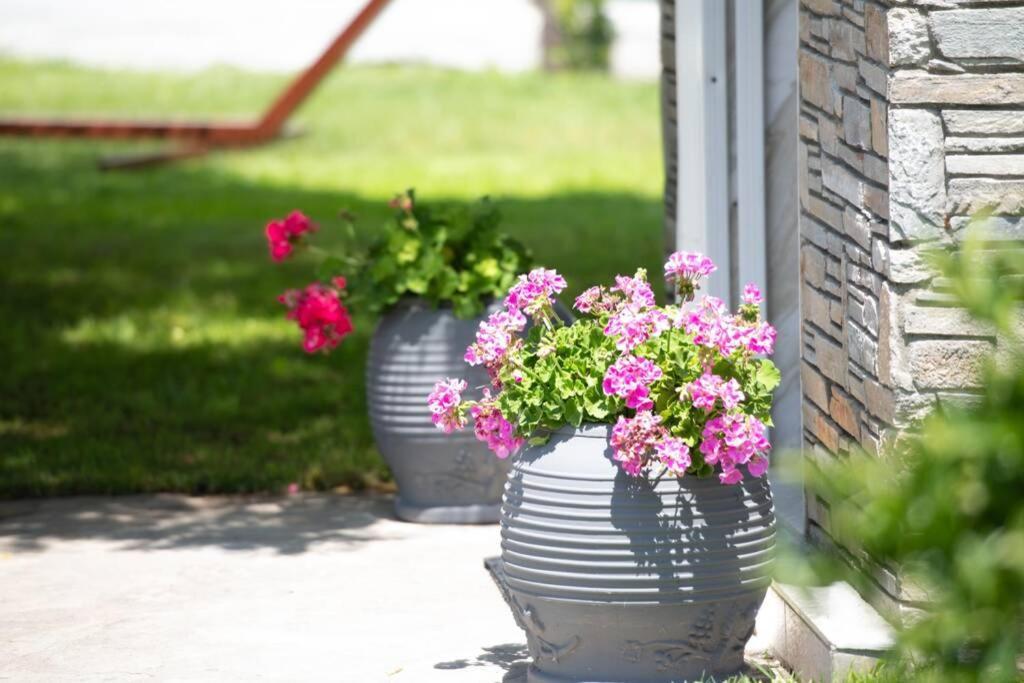 Nuestro Jardin Villa Sykia Chalkidikis Buitenkant foto